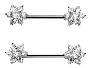 Piercing Para Mamilo Prata Pedra Zirconia Flor Coração Par