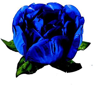 Forminha Para Doces Flor Bela 40 un Azul Royal Escuro- Decora Doces 2006
