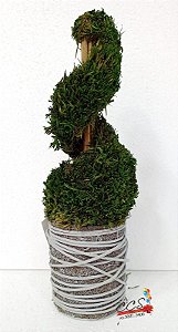 Topiaria em Espiral Natural Verde 32 cm- Mini Árvores - Ref 1515337 Cromus Natal