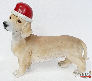Cachorro Decorativo de Resina Dachshund Bege com Gorro de Noel Vermelho 28x32cm - Colecionáveis Pet Mania - Ref 1921538 Cromus Natal