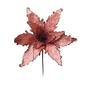 Flor de Natal Poisentia Rosê com Borda Glitter Marrom - Flores Cabo Curto - Ref 1719604 Cromus