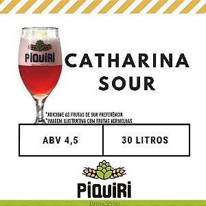 Kit receitas cerveja artesanal 30L Catharina Sour