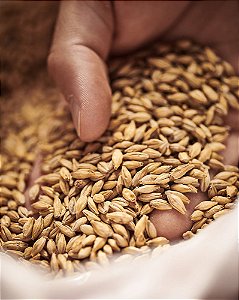 Malte Weyermann Pilsen Bohemia - 1 kg