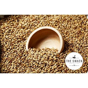 Malte The Swaen Munich Dark - 100g