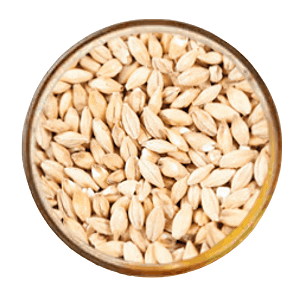 Malte Weyermann Acidificado  - 100g