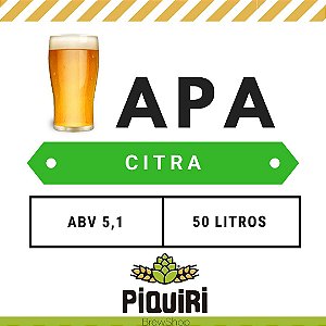 Kit receitas cerveja artesanal 50L APA Citra