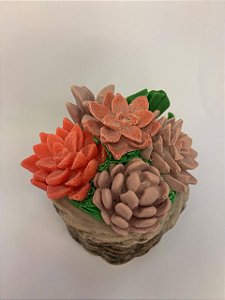 Vaso de suculentas - Tom Pastel