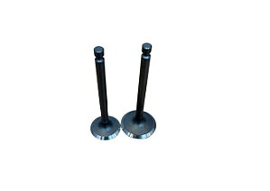 Kit Válvula De Escape Admissão Para Motor Diesel Toyama 7hp Tde70xp Ref.117019001