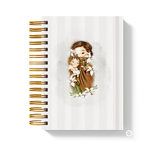 Agenda Católica 2027 – Versículos Católicos: