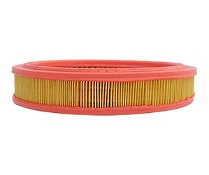 Filtro De Ar Mann C2840