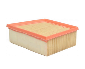 Filtro De Ar Mann C22031/1 - Un