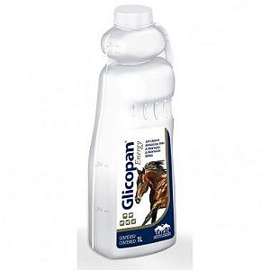 Glicopan Energy 01 litro