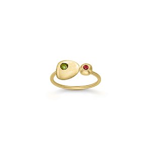 ANEL DOIS AFETOS EM BANHO DE OURO 18k