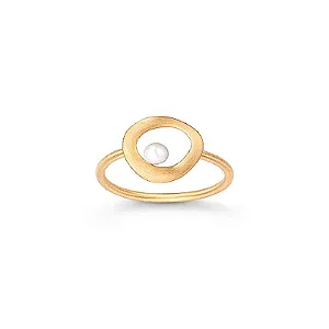 ANEL NINHO EM BANHO OURO 18K