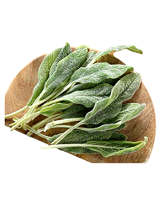 Peixinho De Horta (Lambari) - 1 Muda Sem Agrotóxico