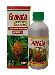 Xarope de Gravatá 250ML , Calcular o Frete >