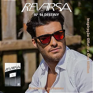 Reversa Nº 14 - Destiny