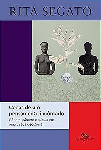 Cenas de um pensamento incômodo: gênero, cárcere e cultura em uma visada decolonial