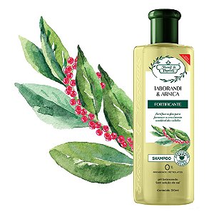 Shampoo Flores & Vegetais Jaborandi E Arnica Fortificante 310Ml