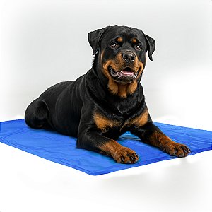 Tapete Gelado Refrescante Gelado Para Pets - 50x90