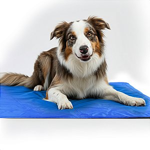 Tapete Gelado Refrescante Gelado Para Pets - 50x65