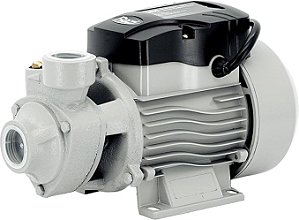 Bomba de Água Periférica 1 CV Razi