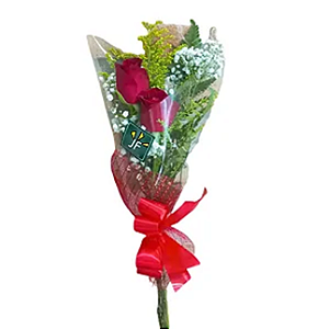 A301 - Arranjo com 2 rosas vermelhas