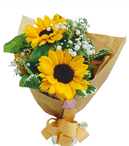 Arranjo com 2 girassois na embalagem Kraft