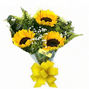 Arranjo com 3 girassóis na embalagem celofane e laço