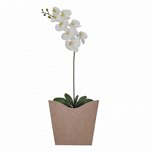 Orquídea branca Phalaenopsis em embalagem cachepô de papelão.