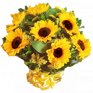 086 - Buquê 12 girassóis
