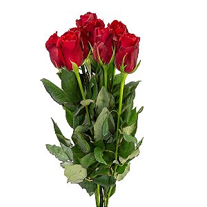 215 - Maço com 6 rosas vermelhas