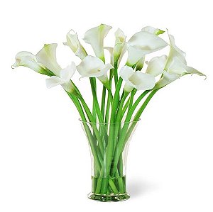 1034 - Jarro com 12 copo de leite