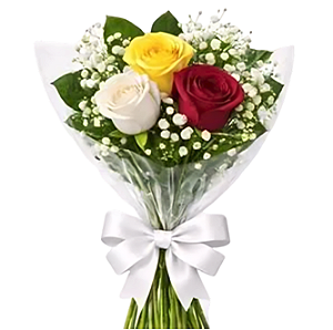 1050 - Arranjo com 3 rosas coloridas