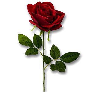 JF140 - Rosa unidade
