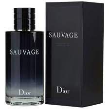 DIOR SAUVAGE MASCULINO EAU DE TOILETTE