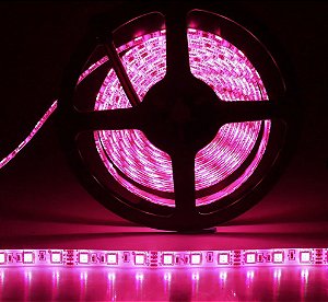 Fita LED 5050 5 Metros Siliconada Rosa Pink Prova D'água Sem Fonte