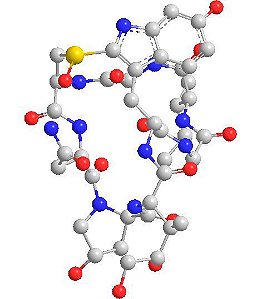 VITAMINA H 2% (BIOTINA) - SC 25 KG