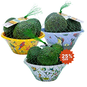 3 Bowls de Avocado - Coleção Aves do Brasil (500g cada)