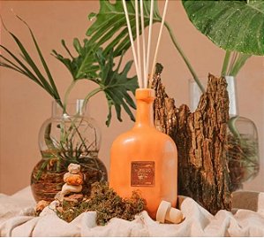Dani Fernandes Óleo Difusor de Aromas Raízes do Brasil 500 ml