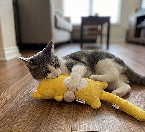 Cat Combat Brinquedo com Catnip para Gatos