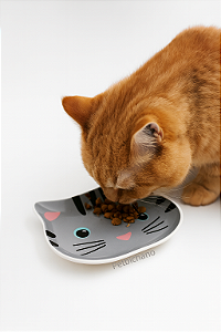 COMEDOURO DE CERÂMICA RASO PARA GATOS - CINZA