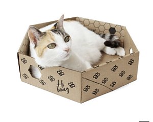 BEEBOX- CAIXA DE PAPELÃO KRAFT PARA GATOS