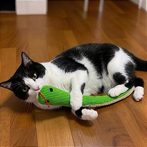 Brinquedo Cobrinha com Catnip para Gatos