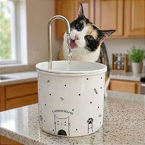 Fonte Catbebedouros para Gatos com Filtro - Miaw