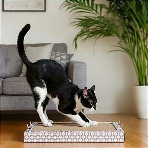 Arranhador de papelão Pet Bichano [pré-venda, envio dia 20/12]