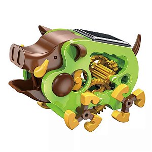 Kit Robô Solar - Javali Selvagem