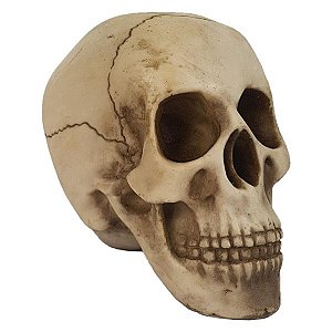 Crânio 15cm - Envelhecido (caveira)