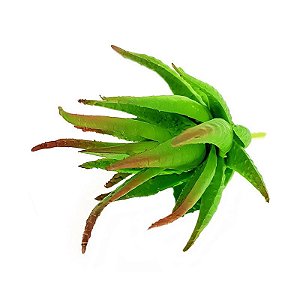 Suculenta Aloe Cacto em Silicone Verde Mesclado