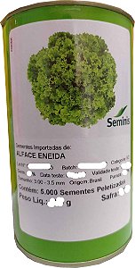 Sementes de Alface Crespa Eneida com 5.000 Sementes Seminis
